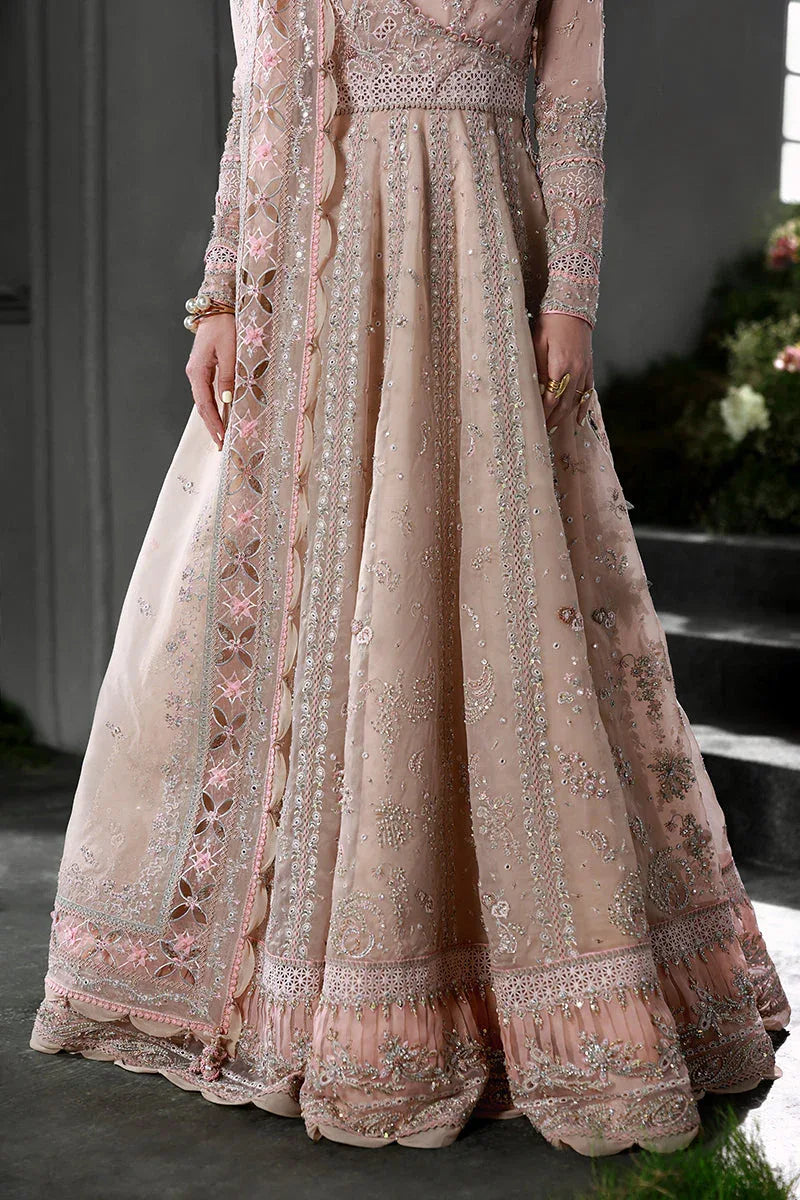 Qalamkar | Elirah Formals 25 | MF-01 LUSTRA - Rang-e-Khaas