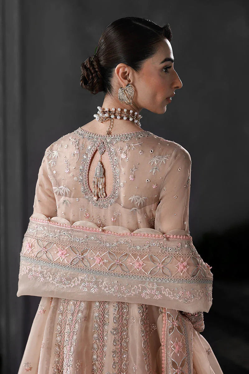 Qalamkar | Elirah Formals 25 | MF-01 LUSTRA - Rang-e-Khaas