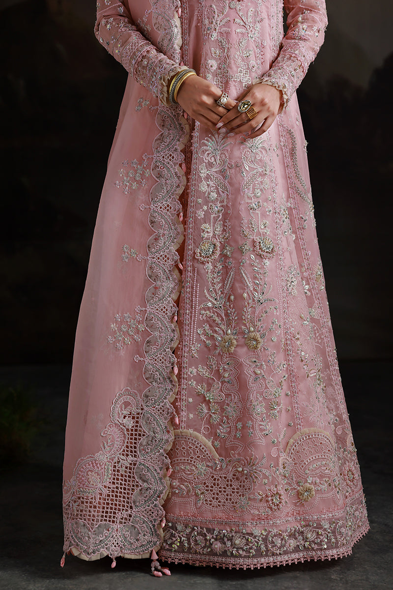 Qalamkar | Elirah Formals 25 | MF-03 BLUSH REVERIE