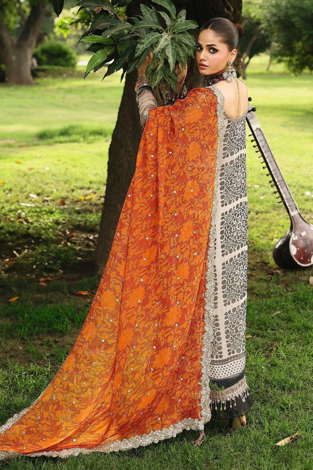 Charizma | Vasal Chiffon 25 | SL25-30 E - Rang-e-Khaas