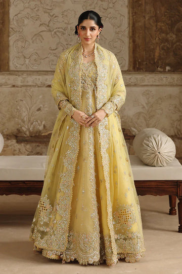 Qalamkar | Shadmaani Formals 25 | RH-06 HOOR - Rang-e-Khaas