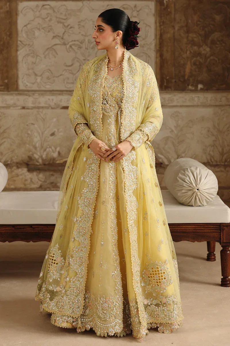 Qalamkar | Shadmaani Formals 25 | RH-06 HOOR - Rang-e-Khaas