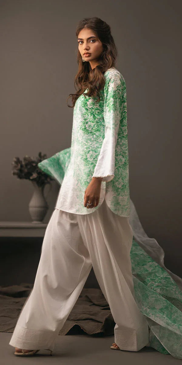 Erum Khan | Beyond Basic | VIVID ELEGANCE - Rang-e-Khaas