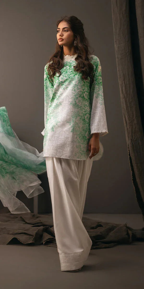 Erum Khan | Beyond Basic | VIVID ELEGANCE - Rang-e-Khaas