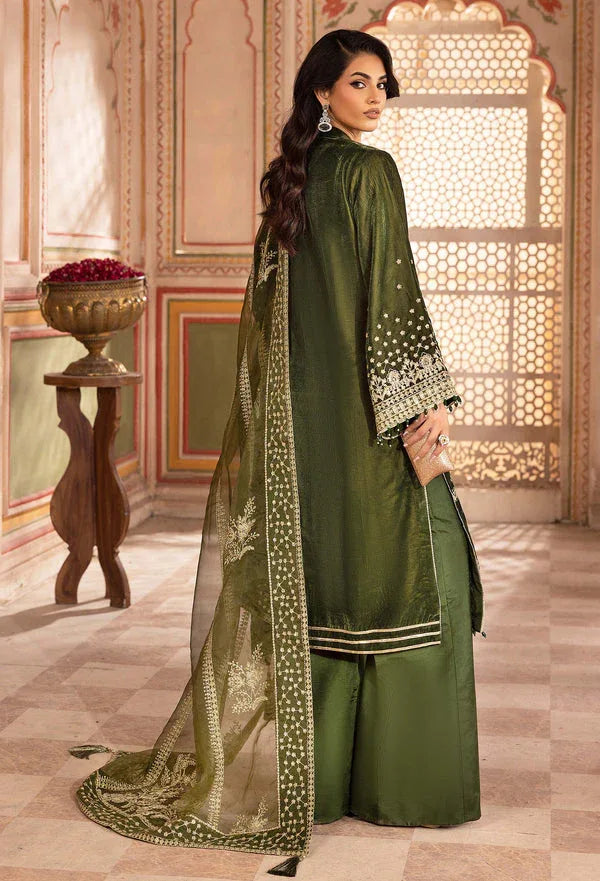 Adans Libas | Velvet 25 | 7524 V - Rang-e-Khaas