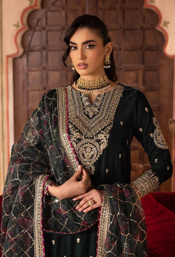 Adans Libas | Velvet 25 | 7527 V - Rang-e-Khaas