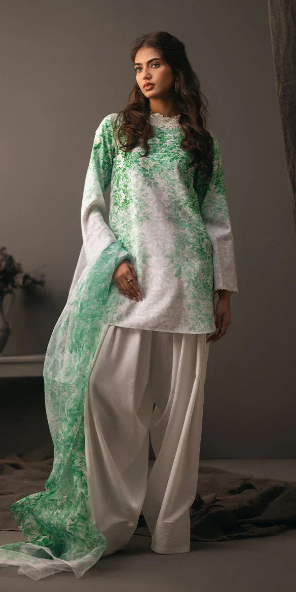 Erum Khan | Beyond Basic | VIVID ELEGANCE - Rang-e-Khaas