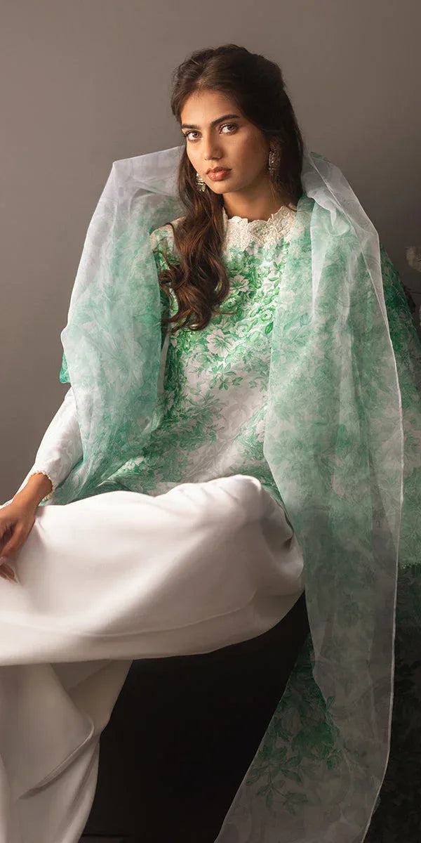 Erum Khan | Beyond Basic | VIVID ELEGANCE - Rang-e-Khaas