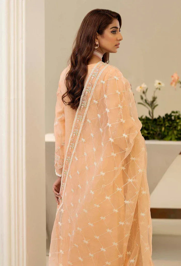 Adans Libas | Tissue Deluxe 01 | DELUXE 444415 - Rang-e-Khaas