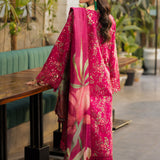 Rangrasiya | Lifestyle Summer Edit 25 | Aria
