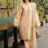 Rangrasiya | Lifestyle Summer Edit 25 | Ivy