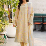 Rangrasiya | Lifestyle Summer Edit 25 | Hazel