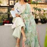 Rangrasiya | Lifestyle Summer Edit 25 | Sage