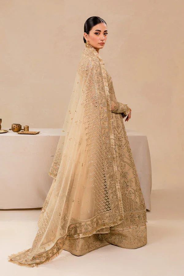Farasha | Lumiere Formals | DREAMT FLAIR - Rang-e-Khaas
