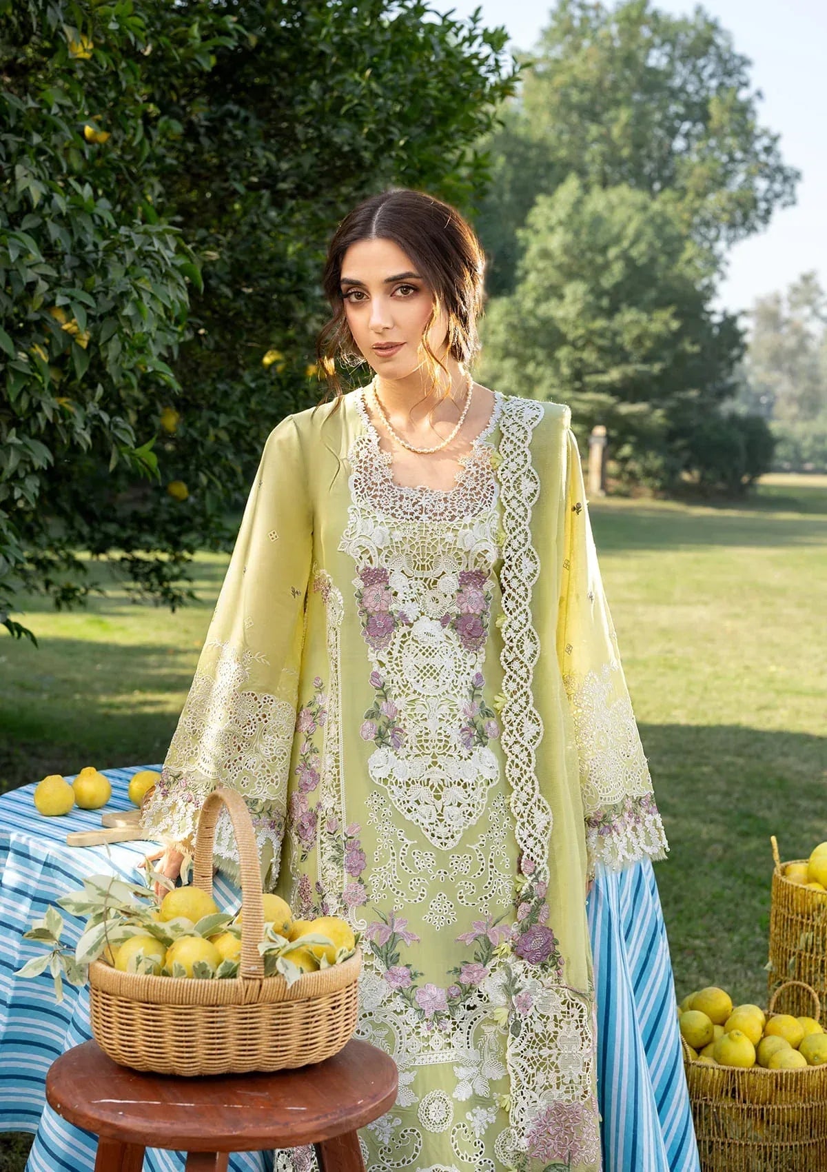 ELY-08 PISTACHIA - Rang-e-Khaas