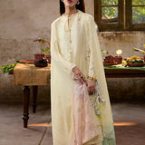 Suffuse | Basic Summer 25 | AMAAH