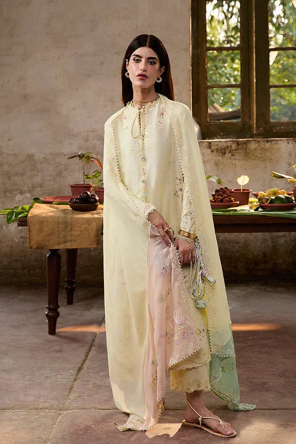 Suffuse | Basic Summer 25 | AMAAH - Rang-e-Khaas