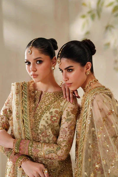 Baroque | Chantelle 25 | CH14-02 - Rang-e-Khaas