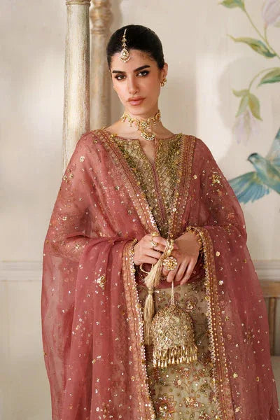 Baroque | Chantelle 25 | CH14-02 - Rang-e-Khaas