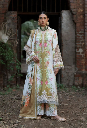 AJR Couture | Sard Sham | Gulrukh - Rang-e-Khaas