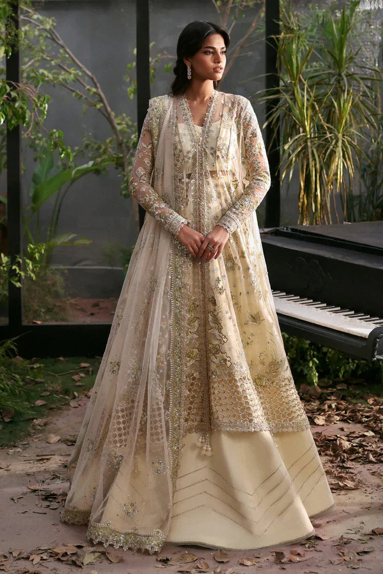 Afrozeh | La Fuschia 25 | Fleurie - Rang-e-Khaas