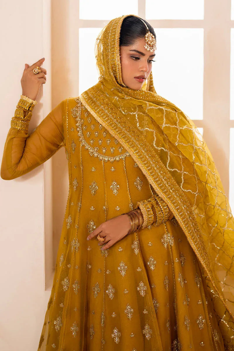 Baroque | Formal Collection | CHIFFON UF-716 - Rang-e-Khaas