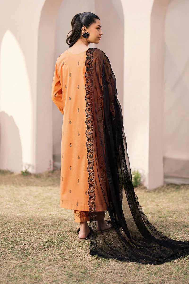 Baroque | Luxury Pret 24 | JACQUARD LAWN UF-613 - Rang-e-Khaas