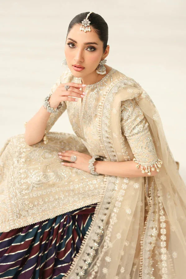 Baroque | Formal Collection | UF-4183 - Rang-e-Khaas
