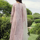 Qalamkar | Festive Lawn 2024 | PS-09 FARVA