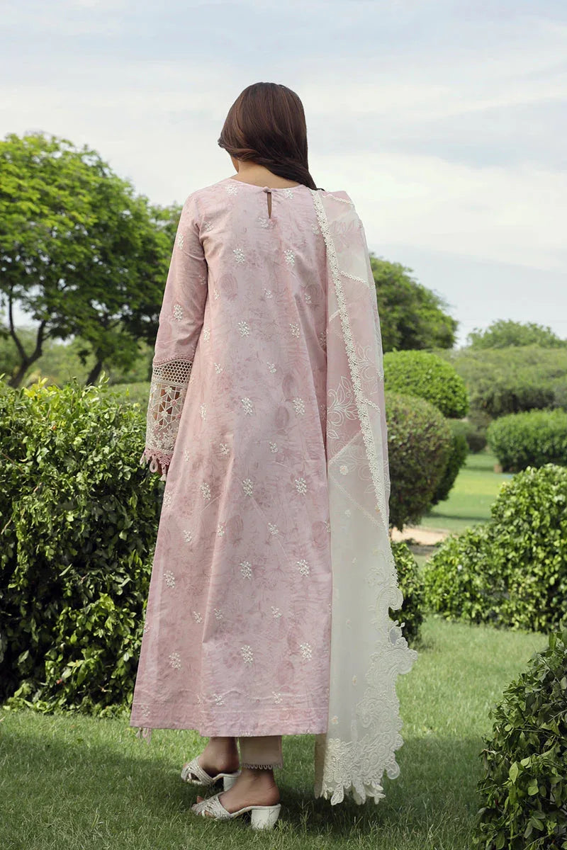 Qalamkar | Festive Lawn 2024 | PS-09 FARVA - Rang-e-Khaas