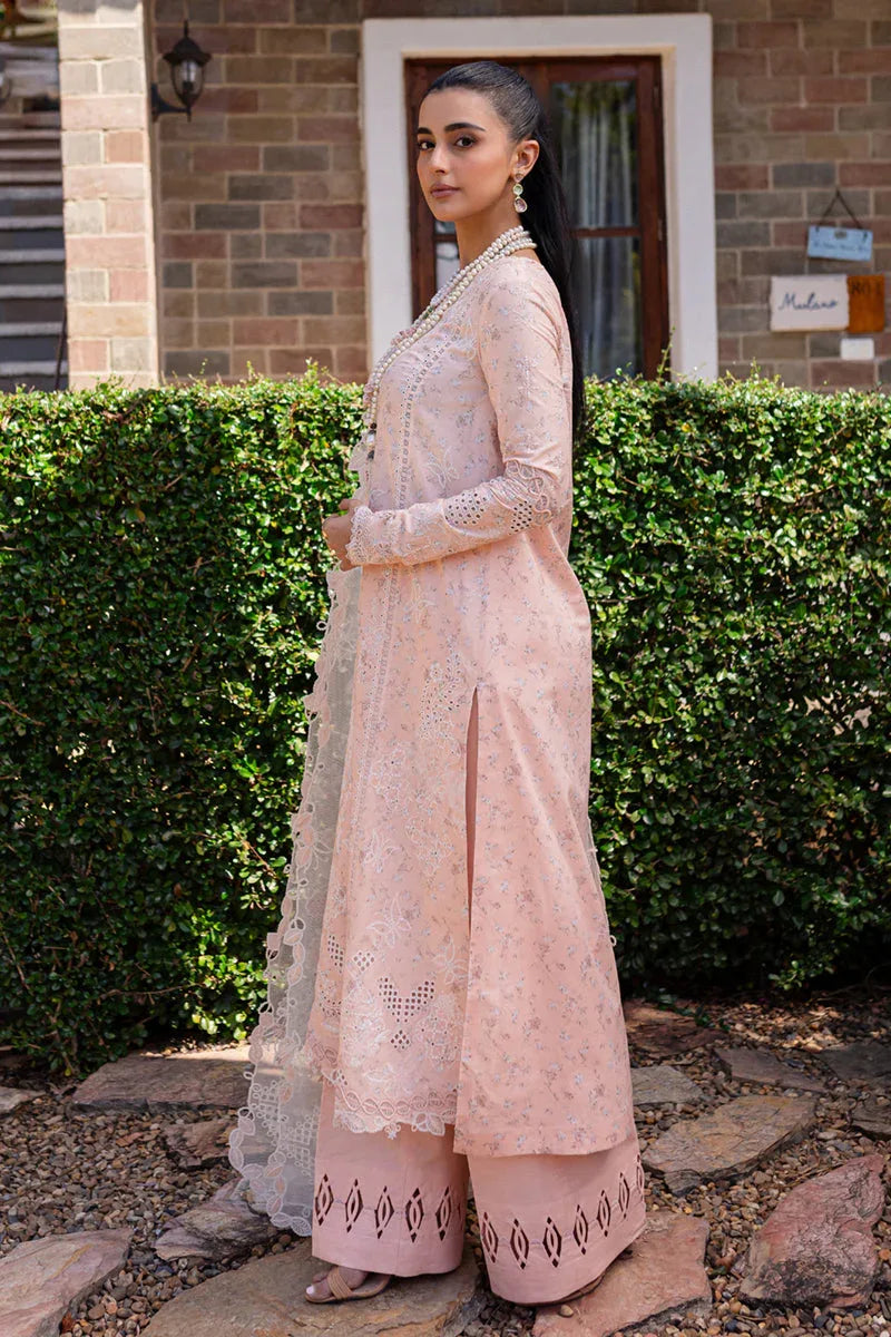 Qalamkar | Q Line Lawn 25 | QM-12 Miso - Rang-e-Khaas