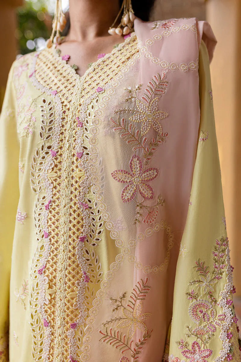 Qalamkar | Q Line Lawn 25 | QM-11 Ina - Rang-e-Khaas