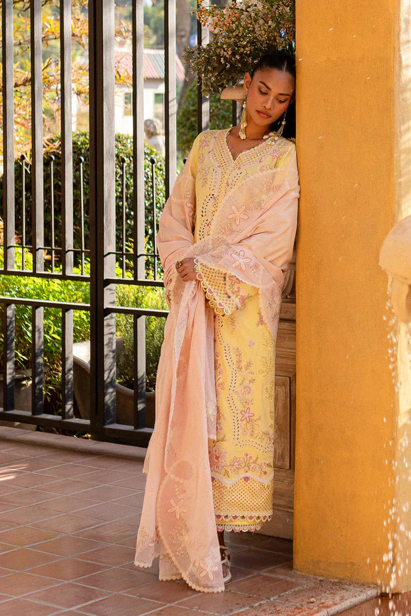 Qalamkar | Q Line Lawn 25 | QM-11 Ina - Rang-e-Khaas