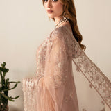 Ramsha | Festive Collection 24 | E-104
