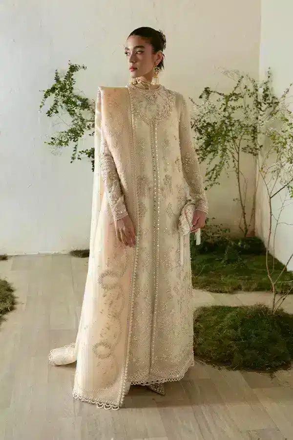 Suffuse | Freeshia Formals 23 | Jahan - Rang-e-Khaas