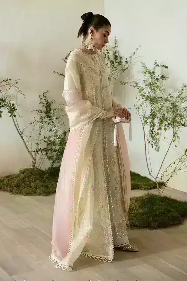Suffuse | Freeshia Formals 23 | Jahan - Rang-e-Khaas