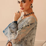 Ramsha | Festive Collection 24 | E-207