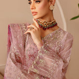 Ramsha | Festive Collection 24 | E-206