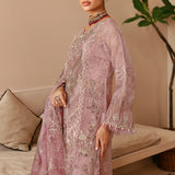 Ramsha | Festive Collection 24 | E-206