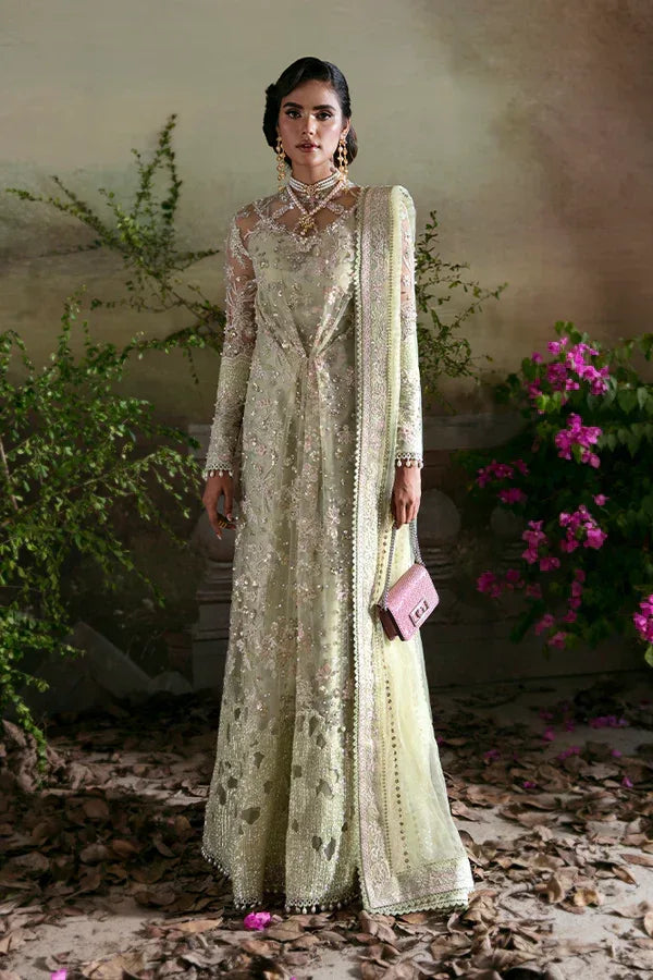 Suffuse | Formal Clothes |  Kiara - Rang-e-Khaas