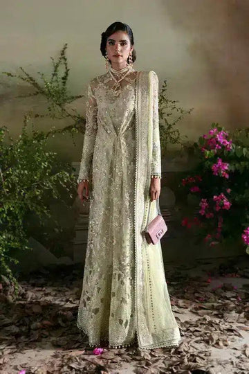 Suffuse | Freeshia Formals 23 | Kiara - Rang-e-Khaas