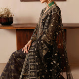 Ramsha | Festive Collection 24 | E-203