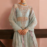 Ramsha | Festive Collection 24 | E-204