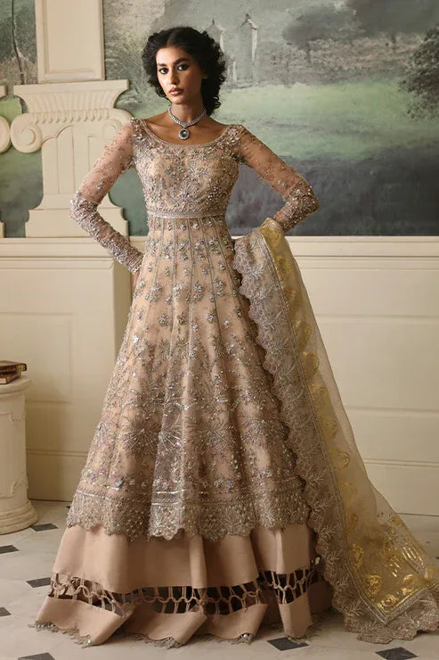 Nyra | Wedding Festive 24 | Dahlia - Rang-e-Khaas
