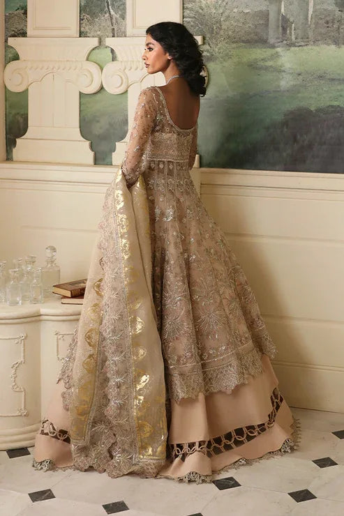 Nyra | Wedding Festive 24 | Dahlia - Rang-e-Khaas