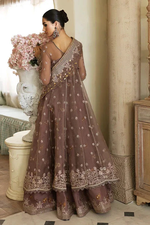 Nyra | Wedding Festive 24 | Aster - Rang-e-Khaas
