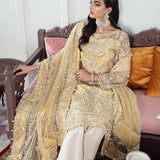 Gulaal | Wedding Formals | MAHJABEEN EMBROIDERED NET 3-PIECE SUIT WS-17