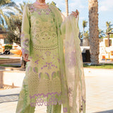 Rangrasiya | Premium Summer Lawn 25 | Ayleen