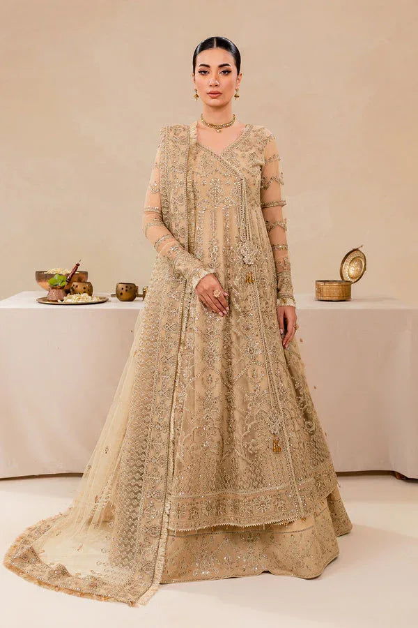 Farasha | Lumiere Formals | DREAMT FLAIR - Rang-e-Khaas