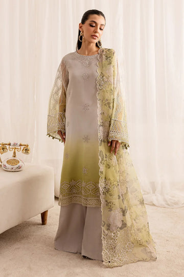 Nureh | Fancy Formals | NP-519 - Rang-e-Khaas